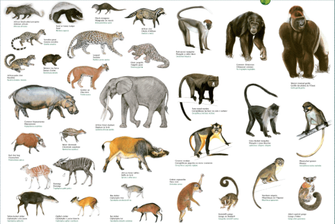 Screen Shot 2015-08-18 at 3.05.16 PM